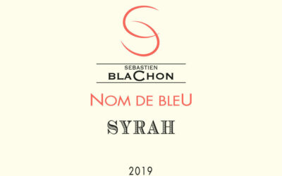 Vin de France “Nom de Bleu” 2023
